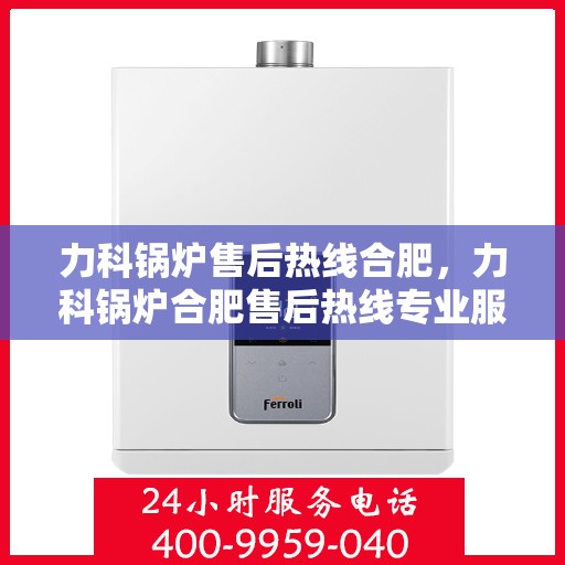 力科锅炉售后热线合肥，力科锅炉合肥售后热线专业服务，为您解答疑虑！