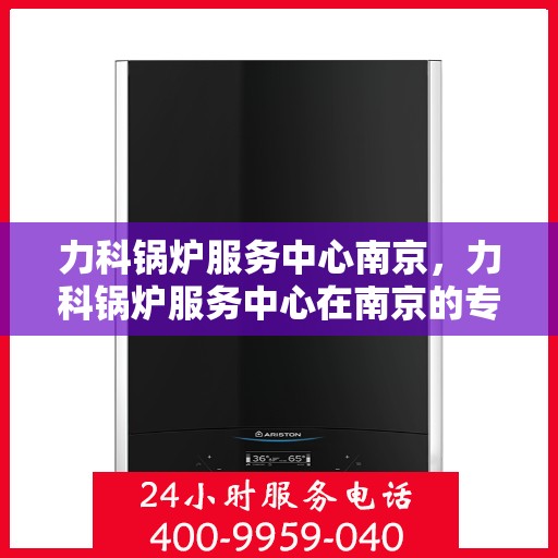 力科锅炉服务中心南京，力科锅炉服务中心在南京的专业服务之旅