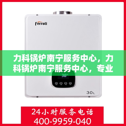 力科锅炉南宁服务中心，力科锅炉南宁服务中心，专业维修与优质服务并重