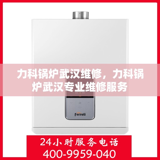 力科锅炉武汉维修，力科锅炉武汉专业维修服务