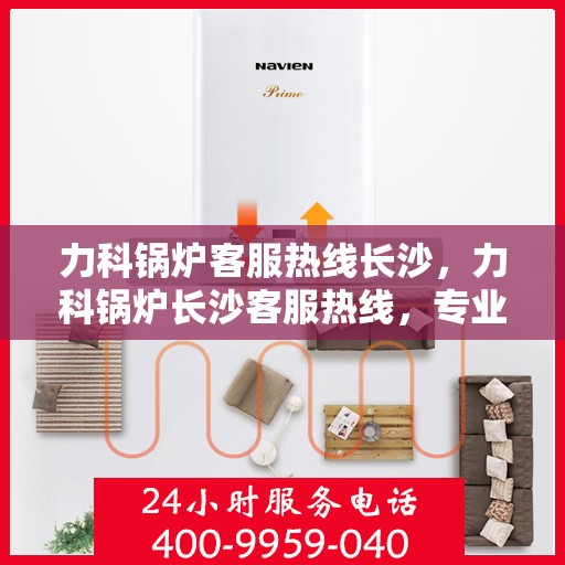 力科锅炉客服热线长沙，力科锅炉长沙客服热线，专业解答，温暖服务