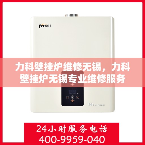 力科壁挂炉维修无锡，力科壁挂炉无锡专业维修服务