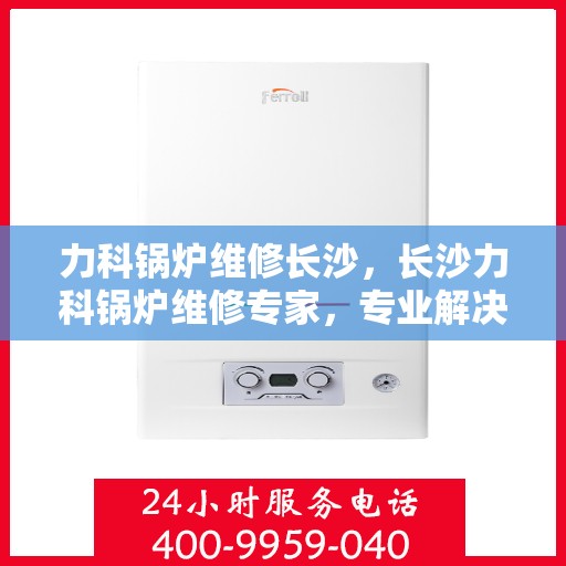 力科锅炉维修长沙，长沙力科锅炉维修专家，专业解决锅炉故障，保障高效运行！