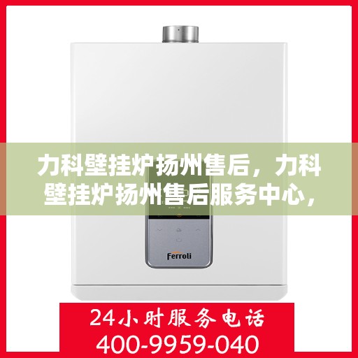 力科壁挂炉扬州售后，力科壁挂炉扬州售后服务中心，专业维修与贴心服务