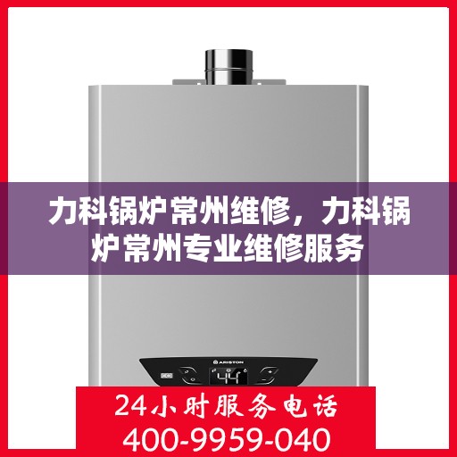 力科锅炉常州维修，力科锅炉常州专业维修服务