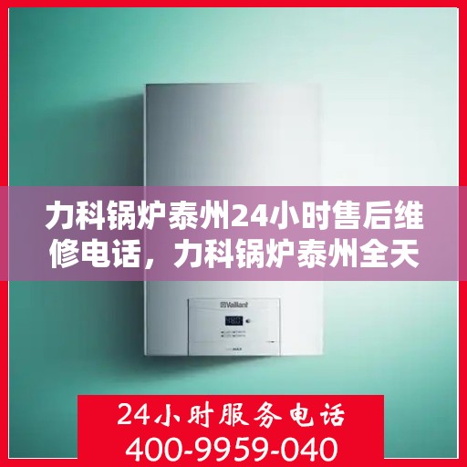力科锅炉泰州24小时售后维修电话，力科锅炉泰州全天候售后维修热线