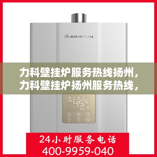 力科壁挂炉服务热线扬州，力科壁挂炉扬州服务热线，专业售后支持，温暖您的生活