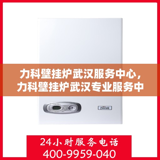 力科壁挂炉武汉服务中心，力科壁挂炉武汉专业服务中心，高效维修与优质服务并行