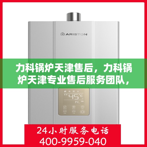 力科锅炉天津售后，力科锅炉天津专业售后服务团队，全方位技术支持，无忧维修体验