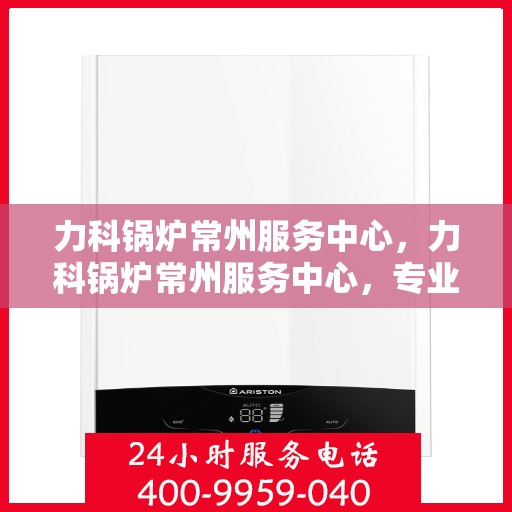 力科锅炉常州服务中心，力科锅炉常州服务中心，专业维修与优质服务并重