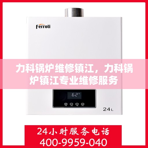 力科锅炉维修镇江，力科锅炉镇江专业维修服务