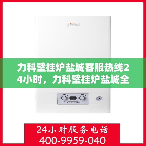 力科壁挂炉盐城客服热线24小时，力科壁挂炉盐城全天候客服热线，贴心服务随时在线