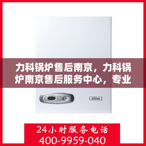 力科锅炉售后南京，力科锅炉南京售后服务中心，专业维修，贴心服务