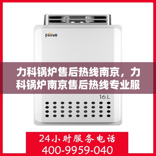 力科锅炉售后热线南京，力科锅炉南京售后热线专业服务