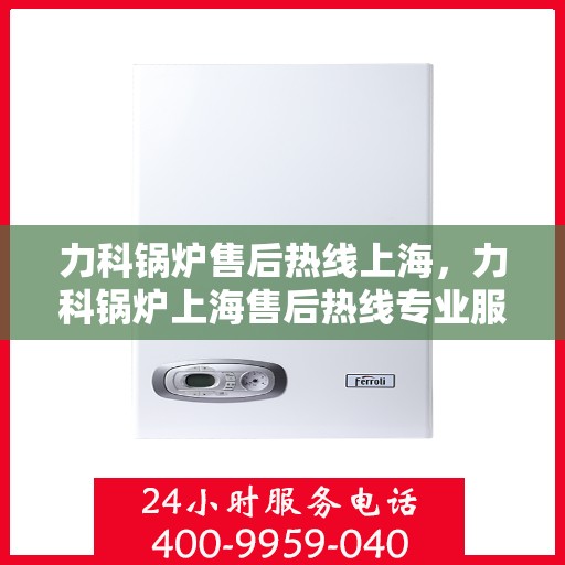 力科锅炉售后热线上海，力科锅炉上海售后热线专业服务，贴心保障
