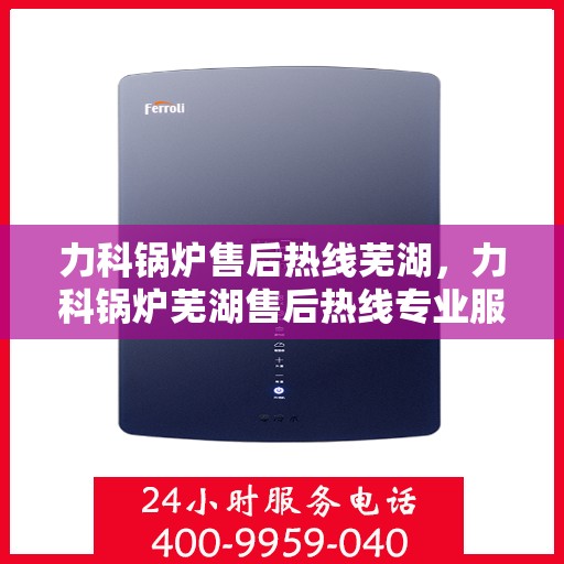力科锅炉售后热线芜湖，力科锅炉芜湖售后热线专业服务，为您解答疑虑！