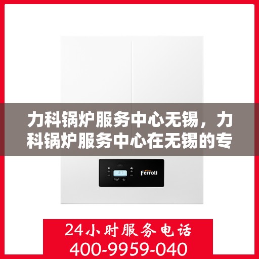 力科锅炉服务中心无锡，力科锅炉服务中心在无锡的专业服务