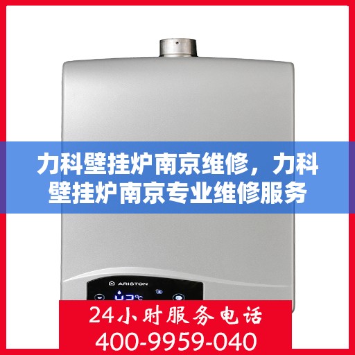 力科壁挂炉南京维修，力科壁挂炉南京专业维修服务