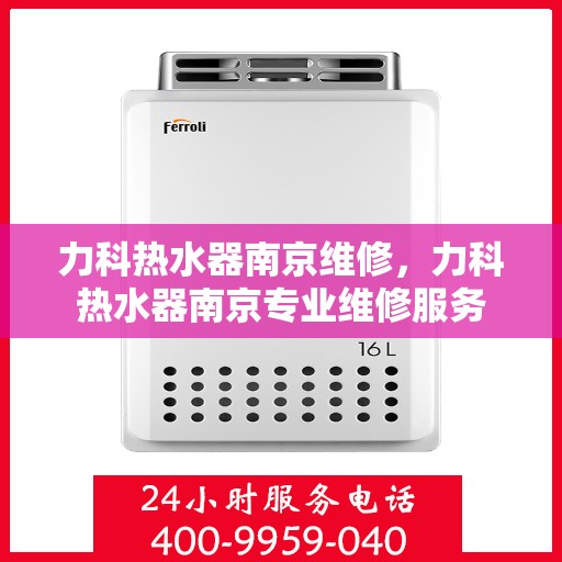 力科热水器南京维修，力科热水器南京专业维修服务