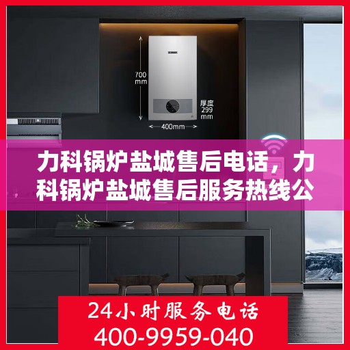 力科锅炉盐城售后电话，力科锅炉盐城售后服务热线公布，专业维修联系电话！