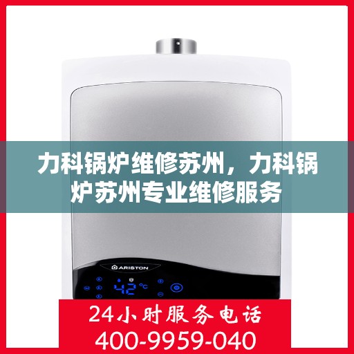 力科锅炉维修苏州，力科锅炉苏州专业维修服务