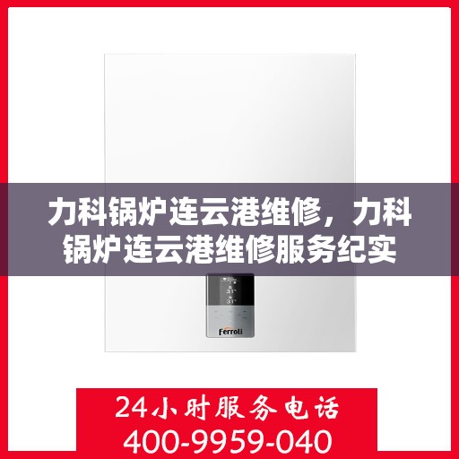 力科锅炉连云港维修，力科锅炉连云港维修服务纪实