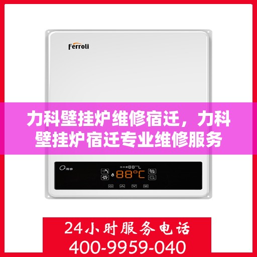 力科壁挂炉维修宿迁，力科壁挂炉宿迁专业维修服务