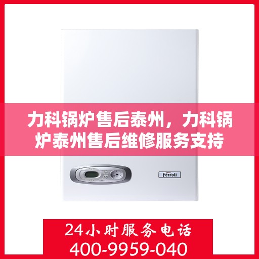 力科锅炉售后泰州，力科锅炉泰州售后维修服务支持