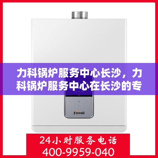 力科锅炉服务中心长沙，力科锅炉服务中心在长沙的专业服务