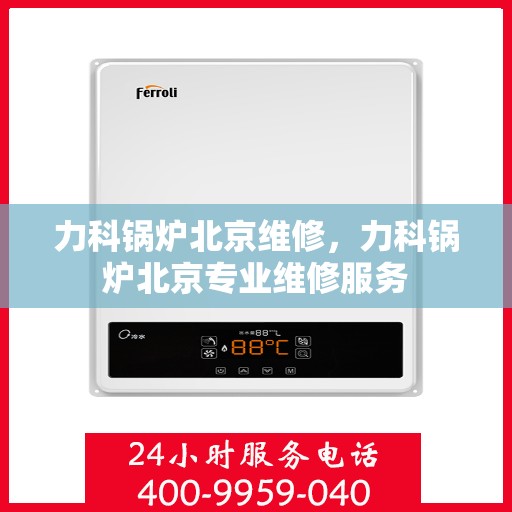 力科锅炉北京维修，力科锅炉北京专业维修服务