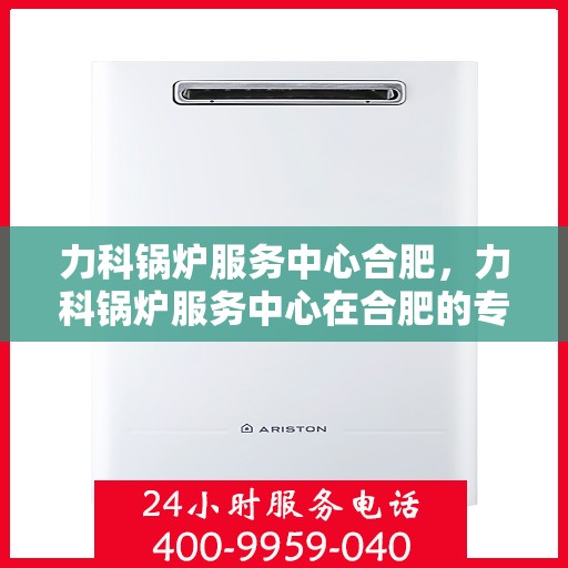 力科锅炉服务中心合肥，力科锅炉服务中心在合肥的专业服务之旅