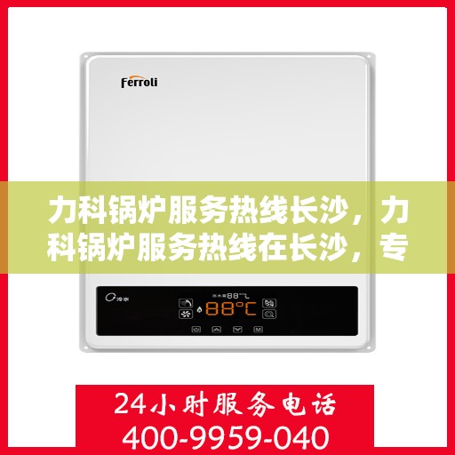 力科锅炉服务热线长沙，力科锅炉服务热线在长沙，专业维修与支持
