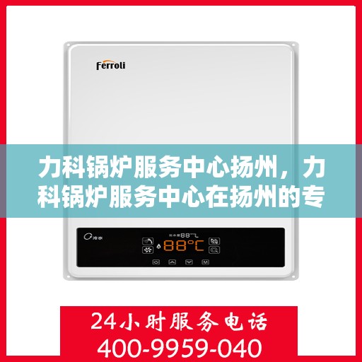 力科锅炉服务中心扬州，力科锅炉服务中心在扬州的专业服务之旅