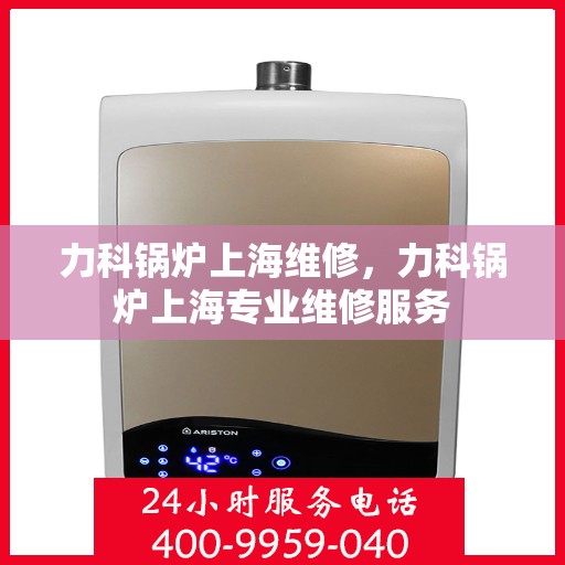 力科锅炉上海维修，力科锅炉上海专业维修服务