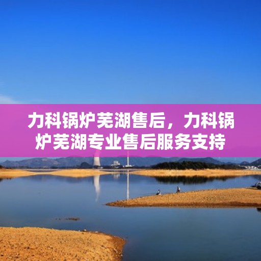 力科锅炉芜湖售后，力科锅炉芜湖专业售后服务支持